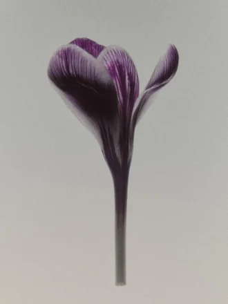 Black Evening Eau De Parfum (100 ml)